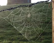 u9pxmmgo06fgw2acpa413wrb1 212450