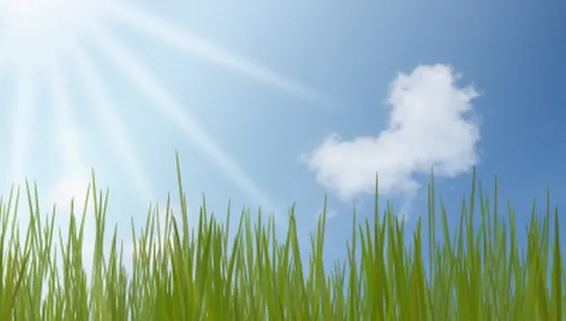 uerhucy14fycdr8z1t9gszrar id 100141524samuiblue freedigitalphotosnet 620