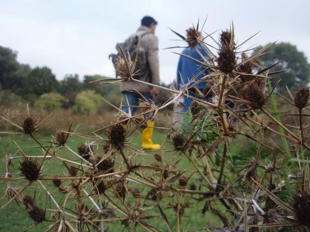 uh5n95kqbktahtrsicua6w87t fotodijkm2014 02 28weurtsewandeling
