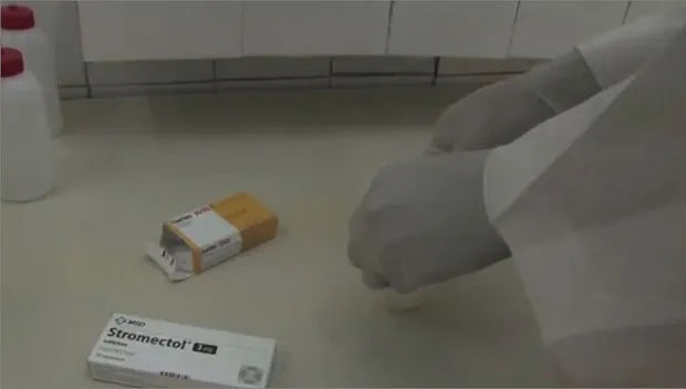 uil2ww36ct8t6ahuj5hgfbxfj malaria