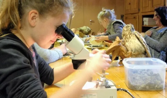 uilenballen uitpluizen