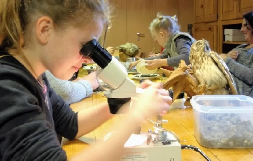 uilenballen uitpluizen