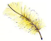 uit4wjlo9ovbdri049h38sbkw 70254