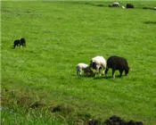 ul2n4g32yge8wpbllwhuru9eh 55965