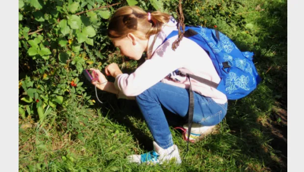 uyfi0giyg35fs44thxu4at411 groen jong oud