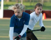 v0zdqu8k2q56ld1n50uz8orvr 92428