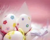 v15nwzwr2rcpanr7kozk4z49z 216918