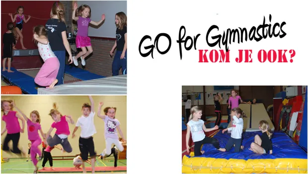 vb1tn79wmh1hbtmnn74yvjirc goforgymnastic 2