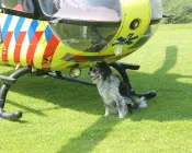 vfimy53o0xt3fsccrgvllkeyc 163866