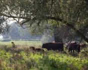 vjfg3fozahuublf3t87rhd9sj 154511