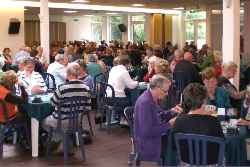 vl21xete5fyl835zy9pevsk93 waelwick bridgedrive