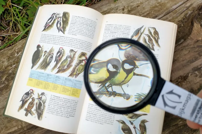 vogels onder de loep