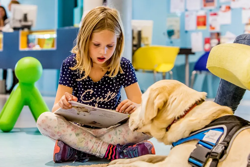 voorleeshonden in de bibliotheek gelderland zuid fotograaf marcel krijgsman e1445617017248