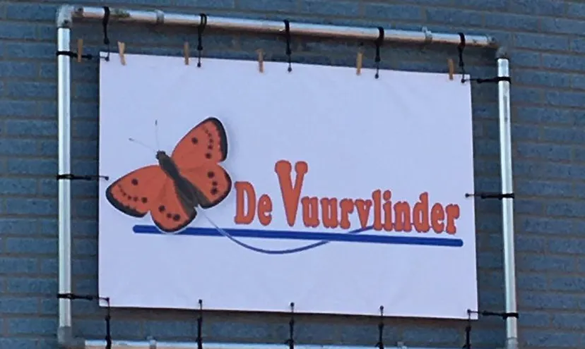 vuurvlinder e1503961489901