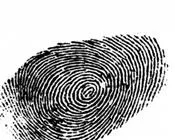 vywtpsnolxd7mlnd20al3rkg3 40640