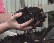 w7aibzf3zmomws7dxrcchxynp 124213