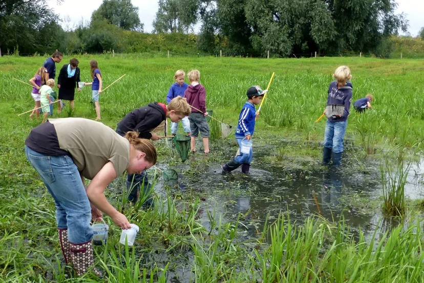 waterbeestjes vangen