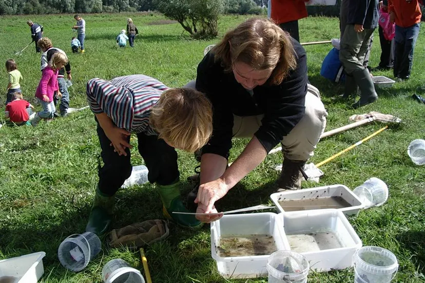 waterbeestjes vangen dijkmagazijn