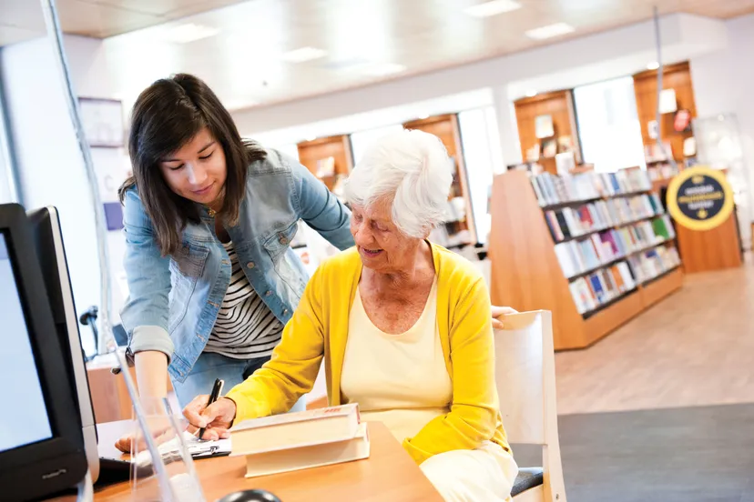 werken met de digitale overheid in 2018