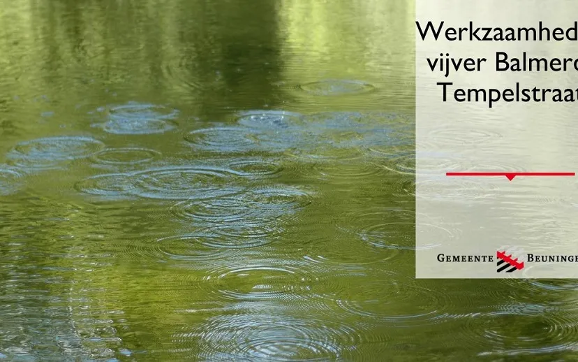 werkzaamheden vijver balmerd