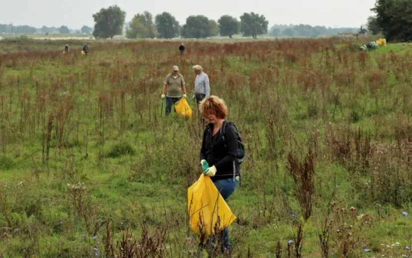 west maas en waal nieuws 17 middel 1 1024x683 1 915x518 1