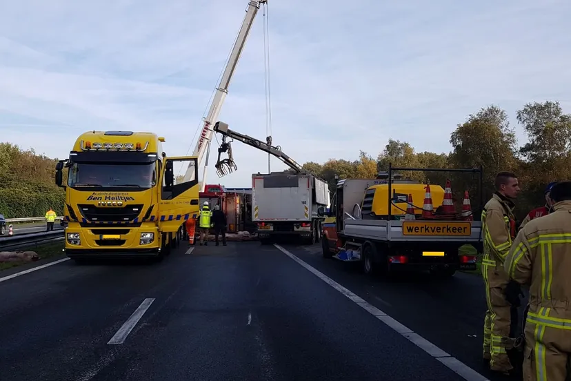 whatsapp image 2018 11 03 at 215214 1