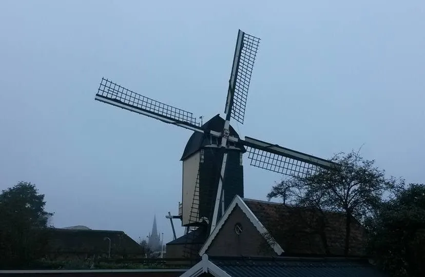 wieken in vreugdestand na afstuderen molenaar