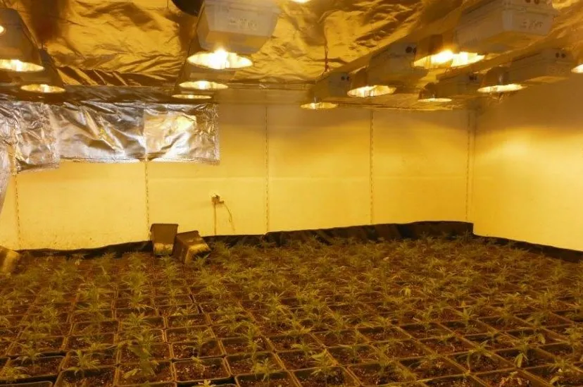 wietkwekerijweurt e1456953132369