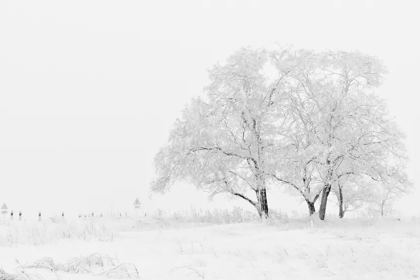 winter 20234 1920 e1451048914215