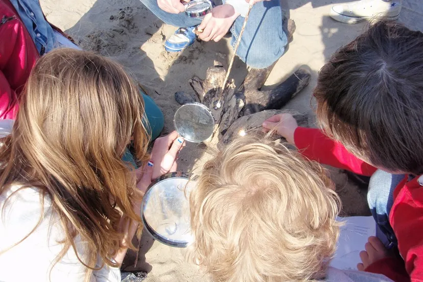 wintersafari dijkmagazijn