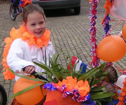 wouoyyrdn0b7aqq7v1bqyyx73 11931