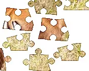 wsruw61wpaeu66eyt8htbejbc 157981