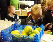 wvf90kzfes74ve2ue5a7z8zl5 155166