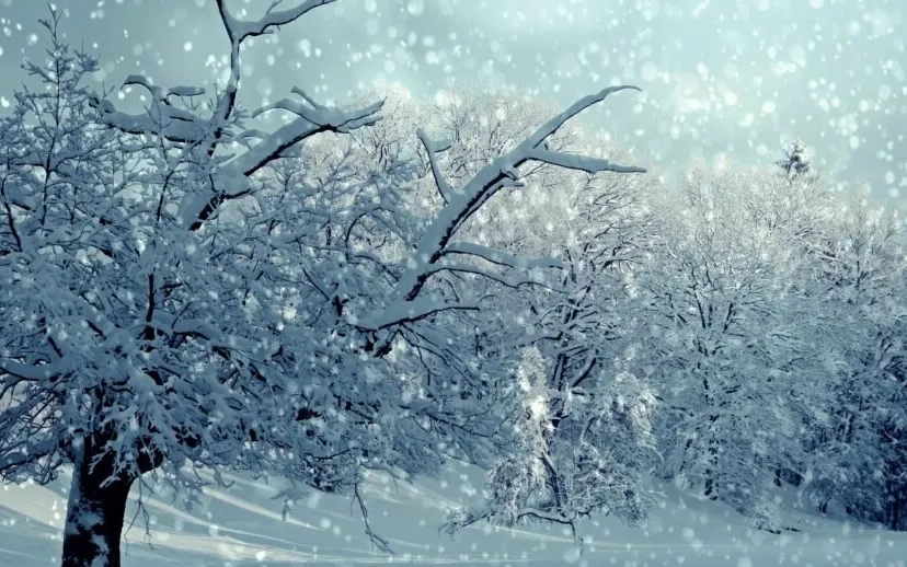 wwinterstorm coco parisienne pixabay 915x518 1