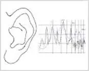 wycyag66r6a6xf82l371kadqu 17079