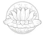 x443rr3t7xdue0c0okxjb6ocr 46650