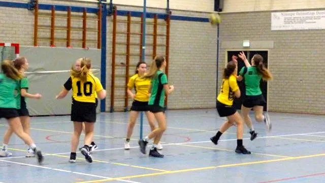 x6nvu89gxyr6bayckunz8wwlx afbeelding 29