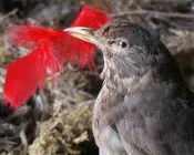 x6sjfme0iyac3d6ckbvff7dtn 212457