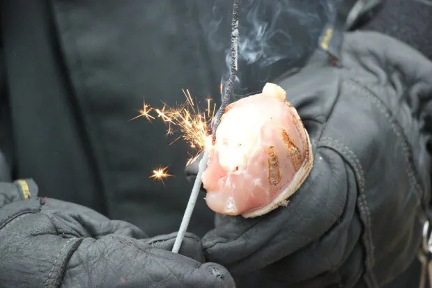 x7kksu6bxralmnufwcb9q3dob kippoot