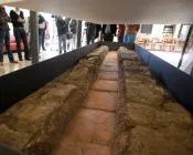 xh8j2s871xl7p0i8939fticcr 216120