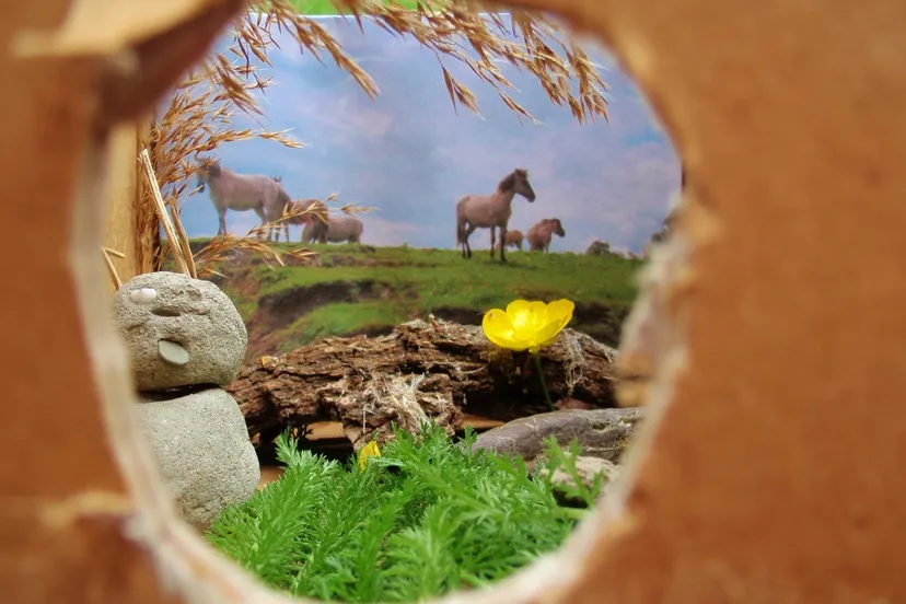 xjjahy93rfzlq7gtae2qelw1s fotodijkm2014 09 10kijkdoos