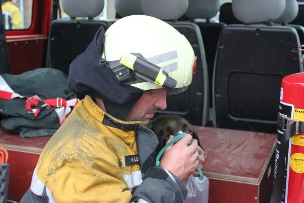 xucjpw0ejlc2j7b4x4a0ymtii 231968