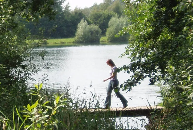 xz2uc61rtjvebdg32y1v9bgbj 84362