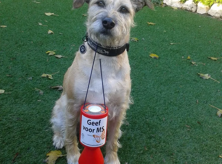 y2idkzzn7rrqzfltst90v8snc boya van yvon nieuwenhuizen