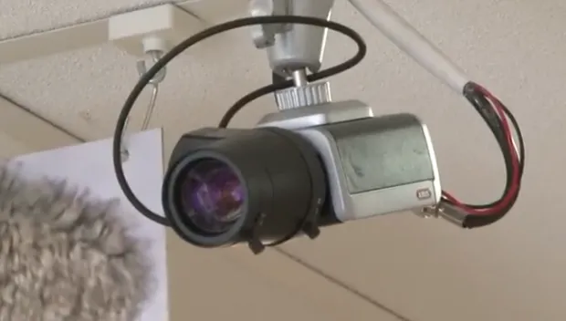 y5p5tzx5vuevejnfxfyl6zq1a kvo