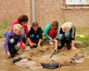 y7y116qp1azi7e93xr8jhvvos 179844