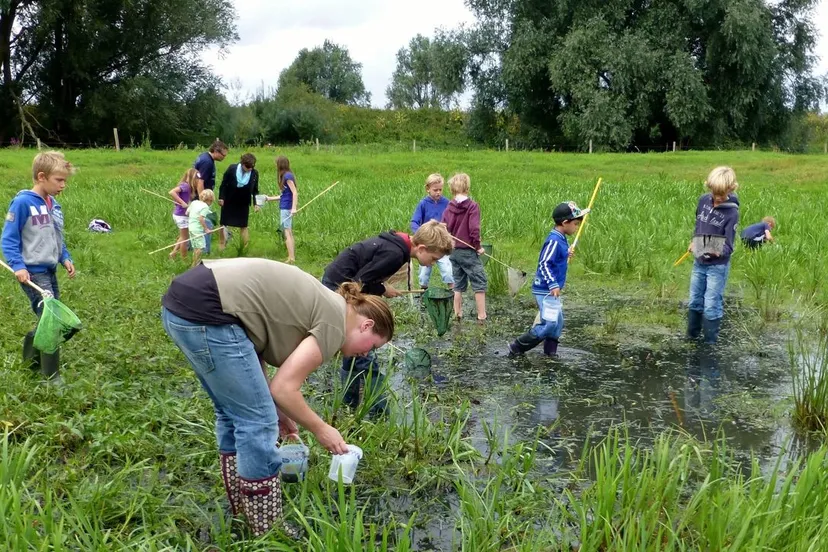 ya2xcwzxe51f41l8ngxzwrwyl dijkmag 2