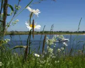 yck14oh2gc3ct5nm4hvggi7oo 110528