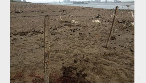 yndcdbfd54efujeqmirzu4y1c konik