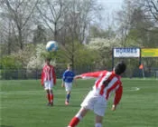 yowlxwec95sz5jyr2zj8gxjp1 55291